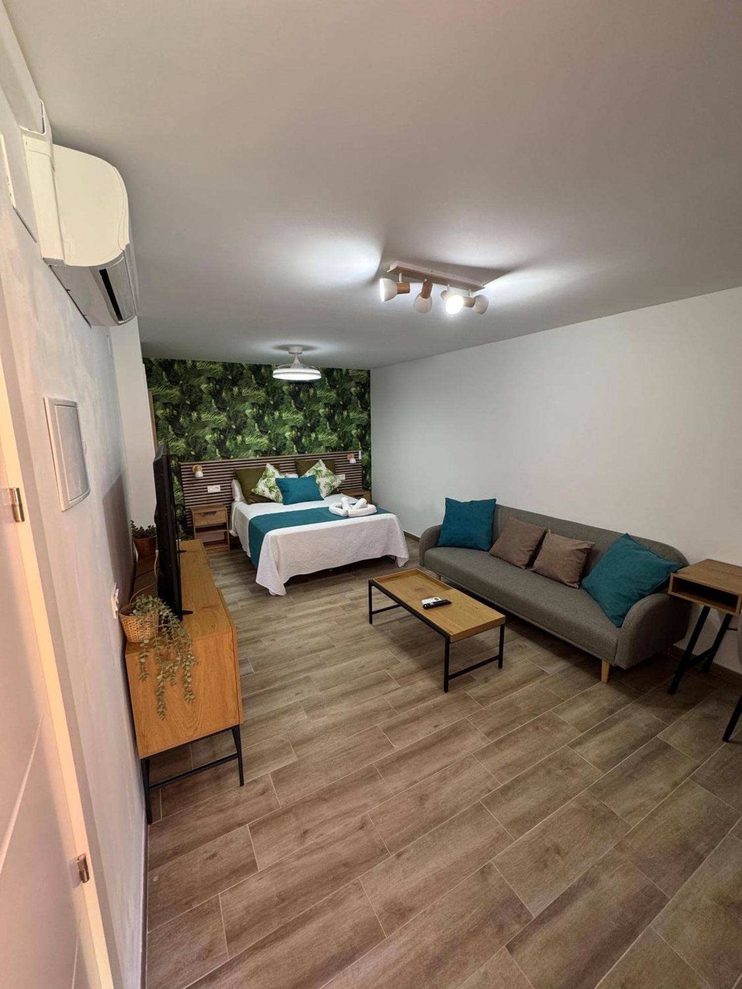Junior Suite Terrace,1683848823:JPEG